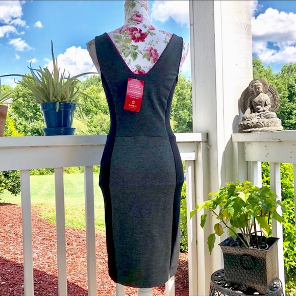 Anthro Bodycon Dress - Picture 4 of 7